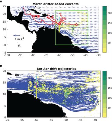 Forecasting seasonal sargassum events across the tropical Atlantic: Overview and challenges